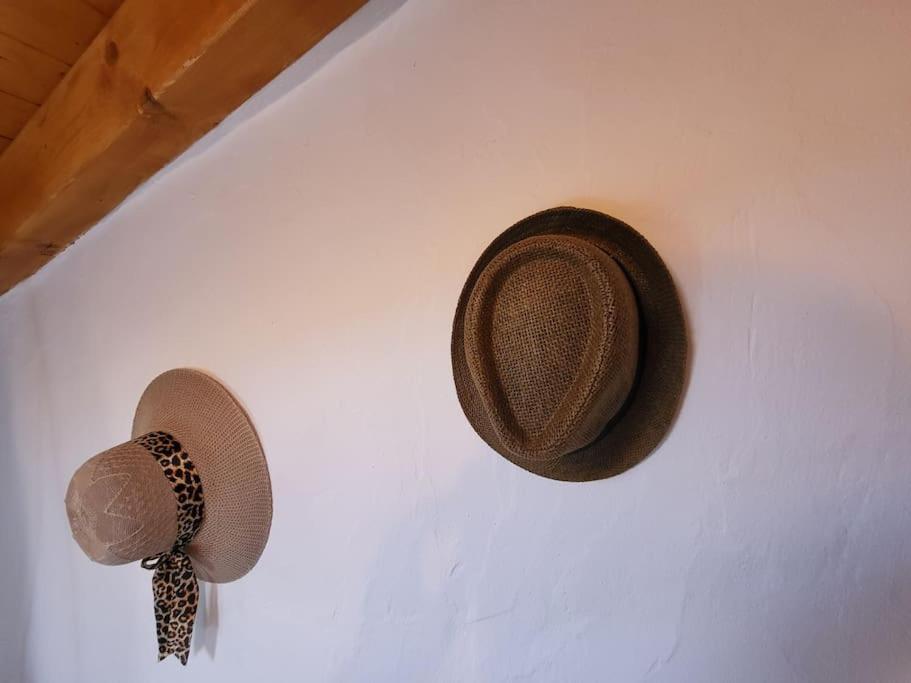 Villa Refugio De Velada - Nisa Esterno foto